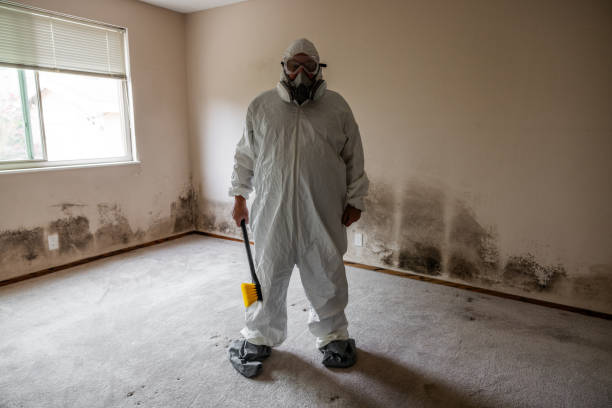 Best Mold Testing  in Rocklin, CA