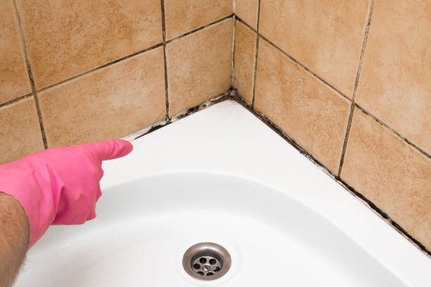 Best Local Mold Removal Service  in Rocklin, CA